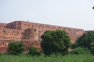 DSC00861