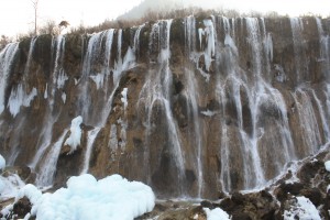 IMG_2686